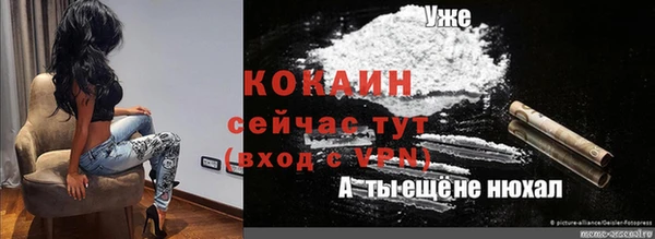твердый Богородицк