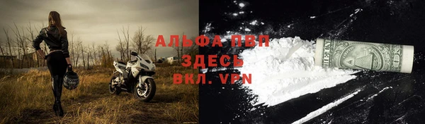 твердый Тавда
