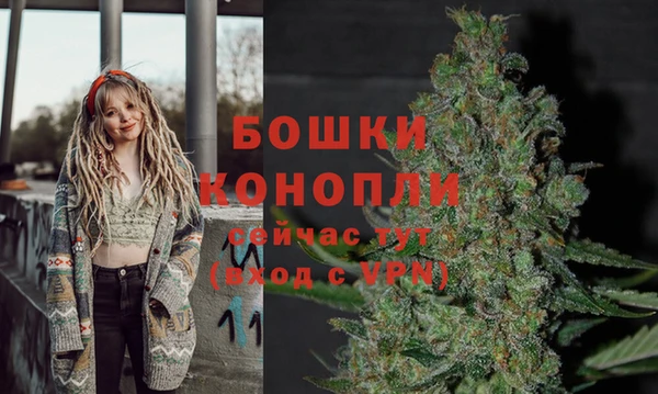 прущие грибы Тайга
