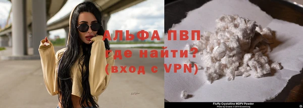 твердый Сясьстрой