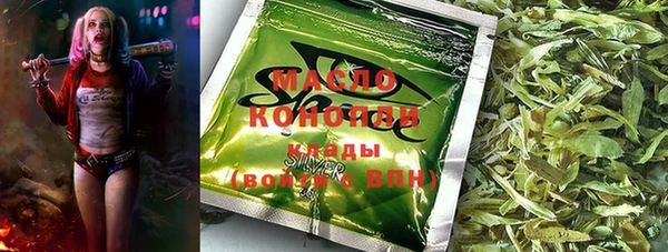 твердый Сясьстрой