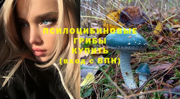 твердый Сясьстрой