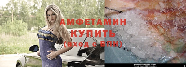 прущие грибы Тайга