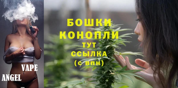 твердый Тавда