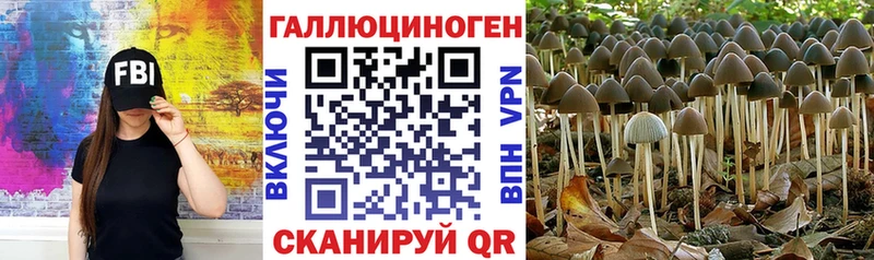 гидра как зайти  Углич  Псилоцибиновые грибы Magic Shrooms 